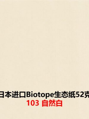 生态纸BIOTOPE52克103自然白单色折纸手工纸特种纸两面同色