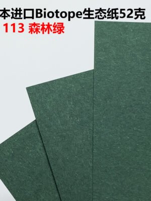 生态纸BIOTOPE52克113森林绿单色折纸手工纸特种纸两面同色