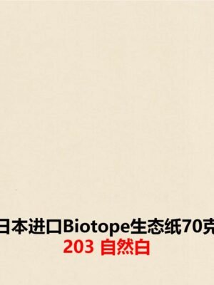 生态纸BIOTOPE70克203自然白单色折纸手工纸特种纸两面同色