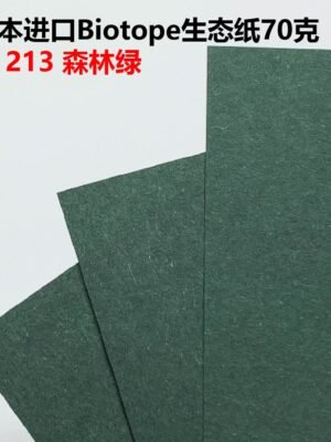 生态纸BIOTOPE70克213森林绿单色折纸手工纸特种纸两面同色