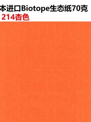 生态纸BIOTOPE70克214杏色单色折纸手工纸特种纸两面同色