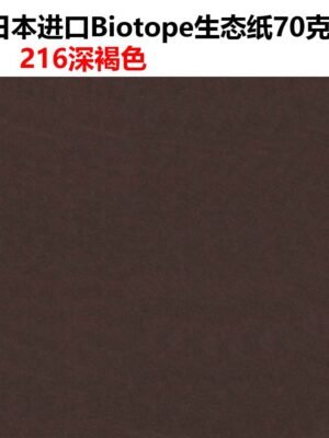 生态纸BIOTOPE70克216深褐色单色折纸手工纸特种纸两面同色