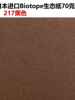 生态纸BIOTOPE70克217栗色单色折纸手工纸特种纸两面同色