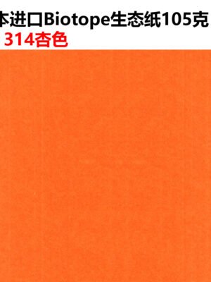 生态纸BIOTOPE105克314杏色单色折纸手工纸特种纸两面同色