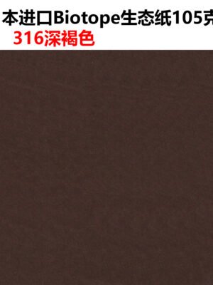 生态纸BIOTOPE105克316深褐色单色折纸手工纸特种纸两面同色