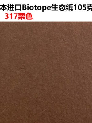 生态纸BIOTOPE105克317栗色单色折纸手工纸特种纸两面同色
